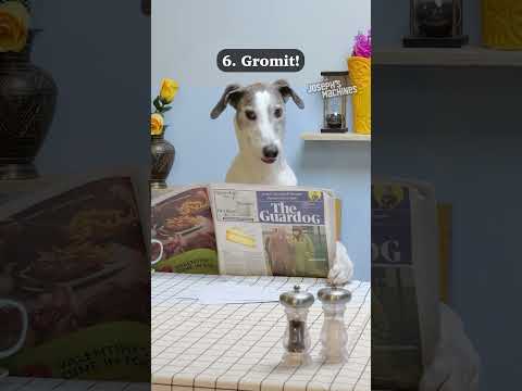 My top 10 animal cameos! Which one is your favourite?