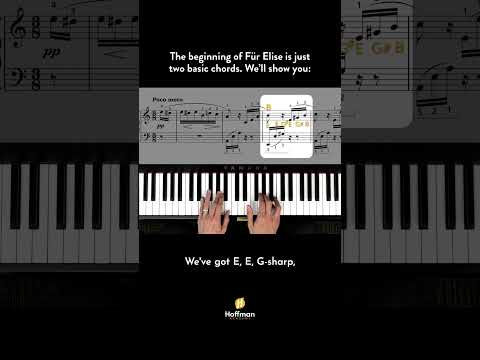 Fur Elise starts with two basic chords. We'll show you.