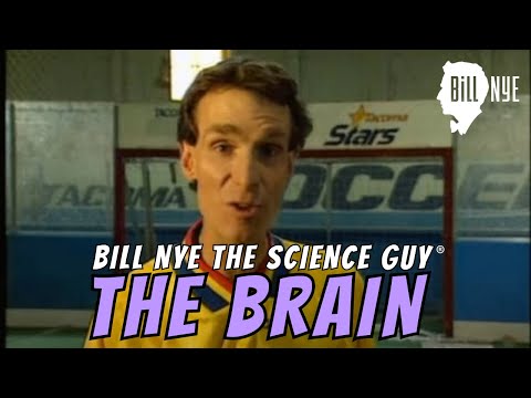 Bill Nye The Science Guy on The Brain