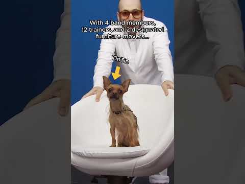 White Knuckles - Part 2