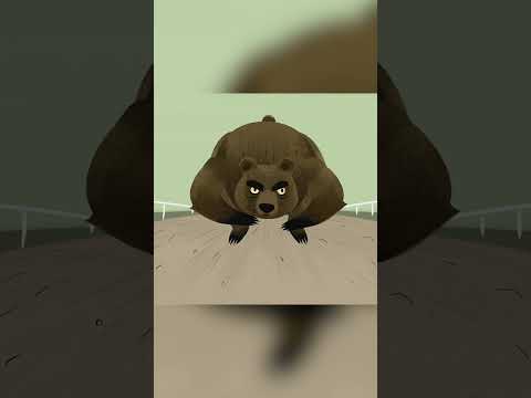 Always Bet on the Bear! | Weird But True! | Nat Geo Kids