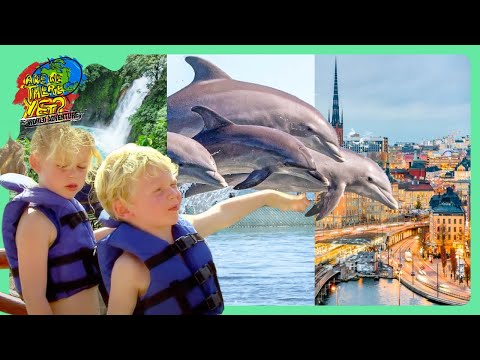 🌍 Swimming with Dolphins & Racing Boats! 🐬 | Travel Show for Kids @travelkidsTVSHow
