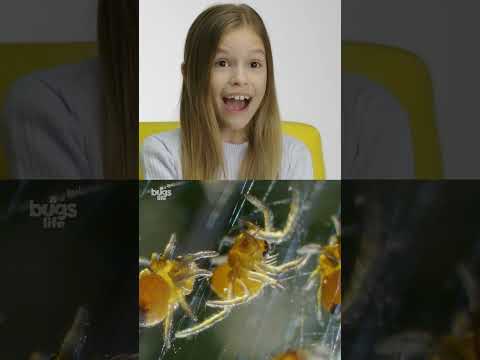 Kids React to Baby Animals 🐙 | Nat Geo Kids