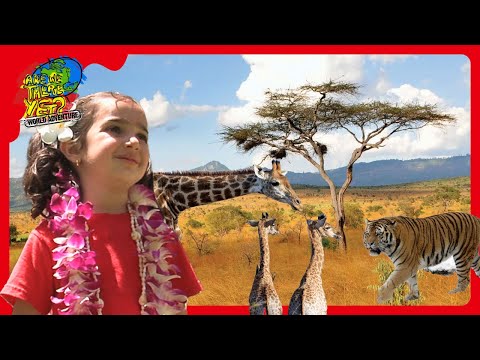 🐅 Kids Visit Tigers in Thailand & Giraffes in Kenya! 🦒 @travelkidsTVSHow