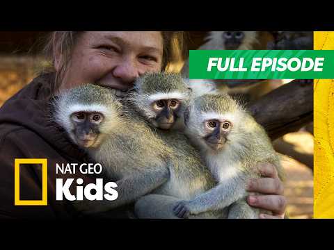 My Best Friend's an Animal Full Episode | 4K | Rescued Besties! | Nat Geo Kids
