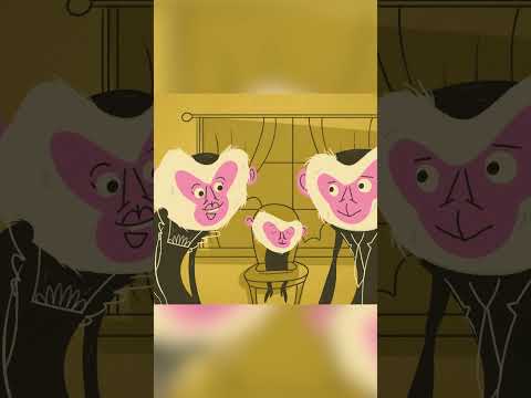 Monkey Business: Nose Edition! 👃🐵 | Weird But True! | Nat Geo Kids