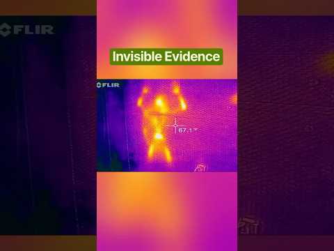 This Camera Sees Minutes Into the Past