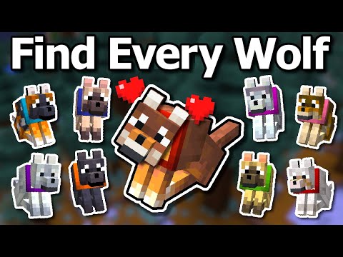How To Find Every Wolf In Minecraft 1.21