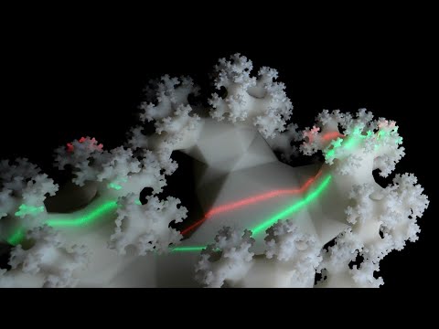 Real-life fractal tree zoom